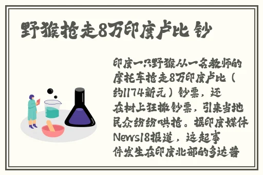 国偷自产短视频中文版